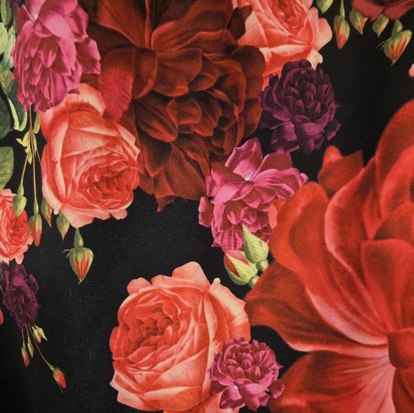 Ted Baker Mirrie Floral Rose Sleeveless Sheath Dress - Picture 3 of 8